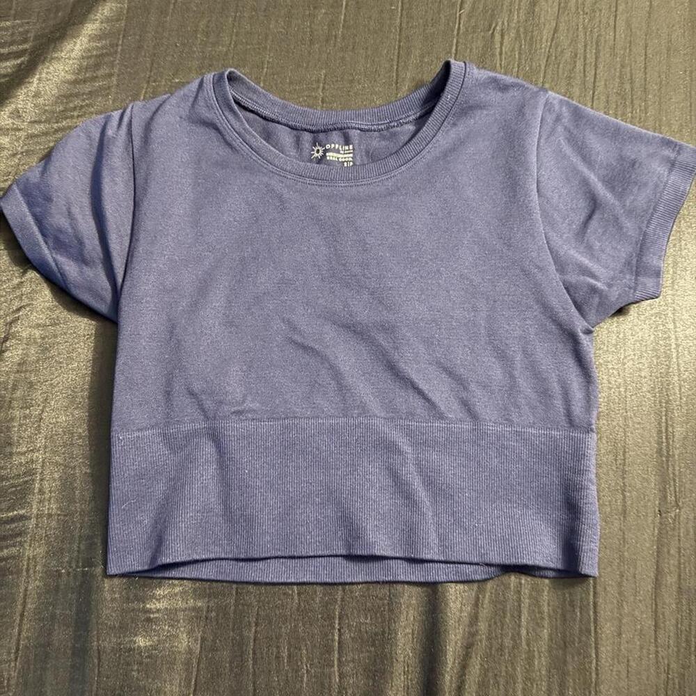 Heather Blue Seamless Ribbed Hem Cropped Short Sleeve Top